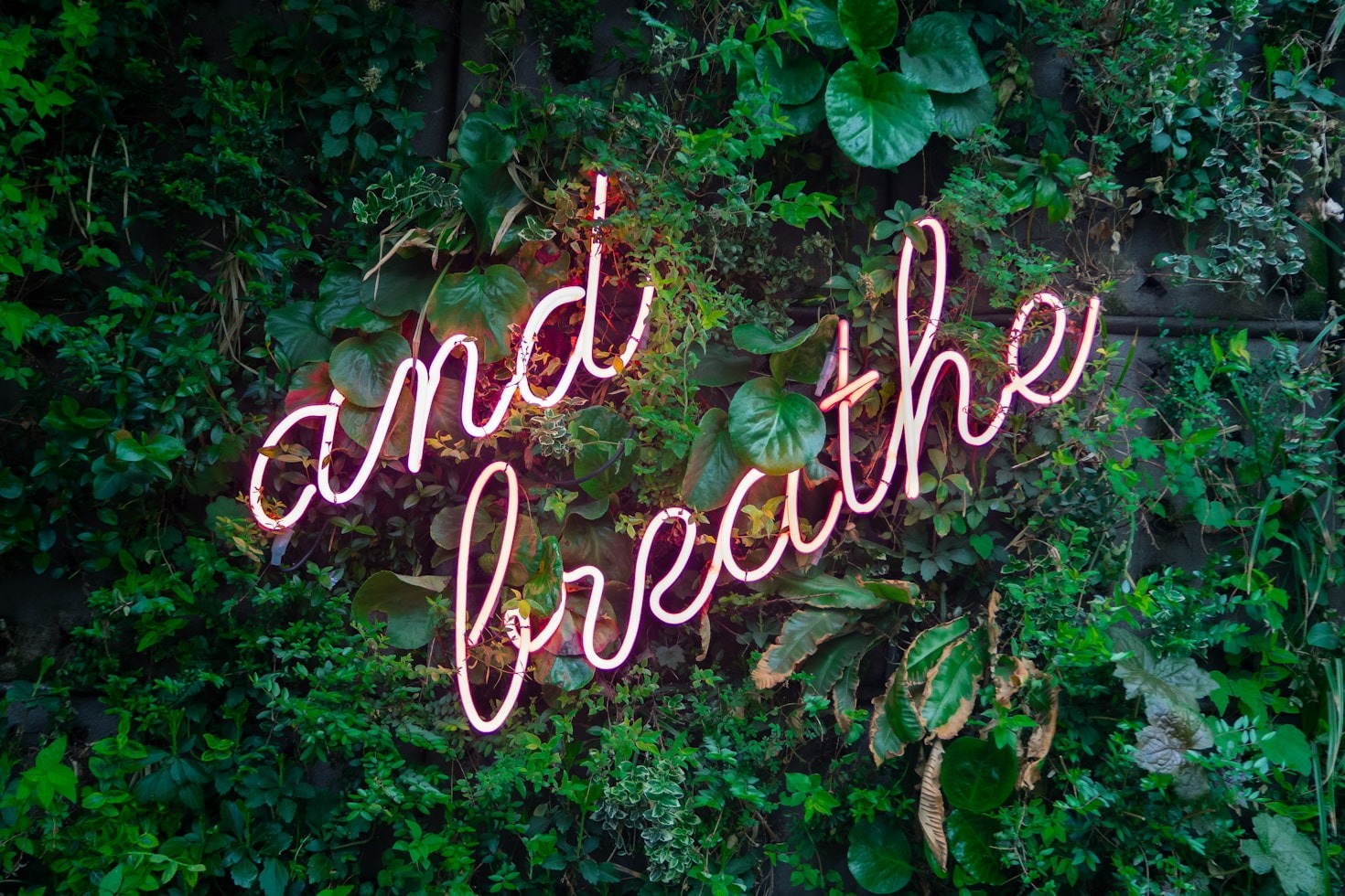 Exploring the Benefits of AI for Emotional Wellness